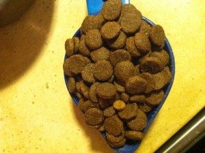 The picture of the two different kibbles in his bag of food.
