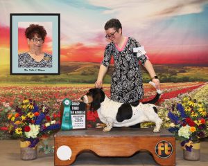 Davenport IA OH Group 3