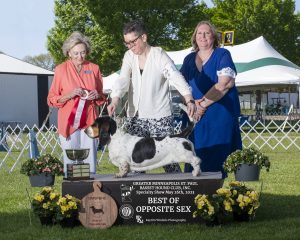 GMSPBHC Specialty 2023 BOS