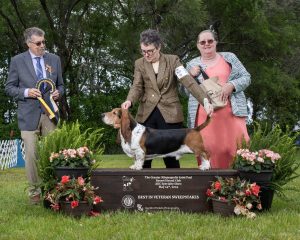 Best Veteran May 2025