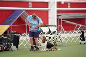 Rally Nationals 2025