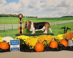 Veterans Parade Nationals 2025